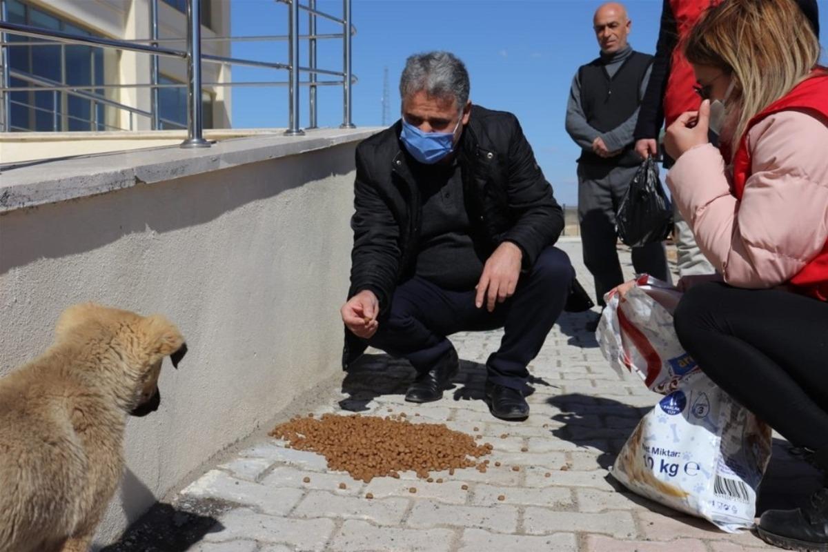Sokak hayvanlarını besleyen gen&ccedil;lere plaket