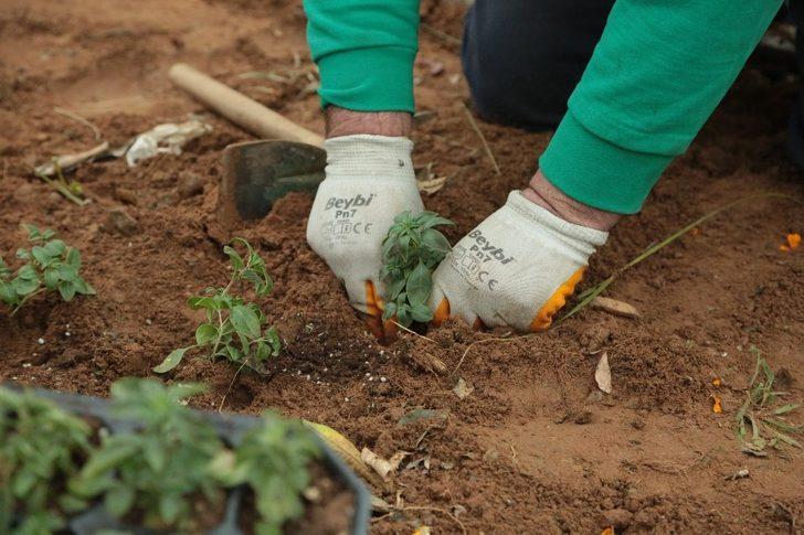 Efeler Belediyesi, muhtarlıkları çiçeklendirdi G2