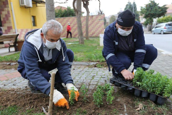 Efeler Belediyesi, muhtarlıkları çiçeklendirdi G4