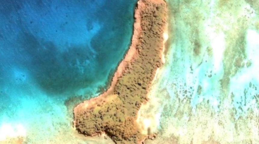 Bakan bir daha baktı! Şekli penise benziyor!