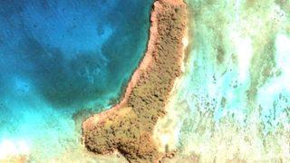 Bakan bir daha baktı! Şekli penise benziyor!