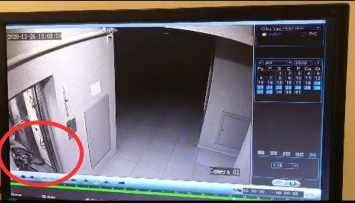 Bisiklet hırsızlığı apartmanın güvenlik kamerasına takıldı G1