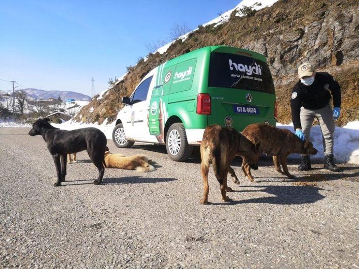 Zonguldak Polisi sokaktaki canları unutmadı G1