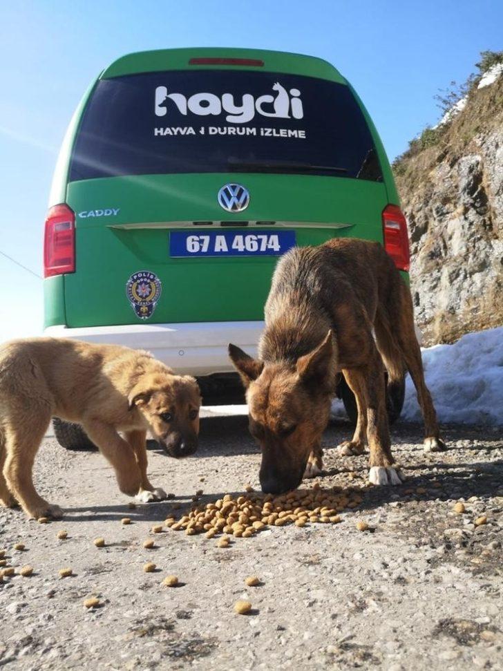 Zonguldak Polisi sokaktaki canları unutmadı G2