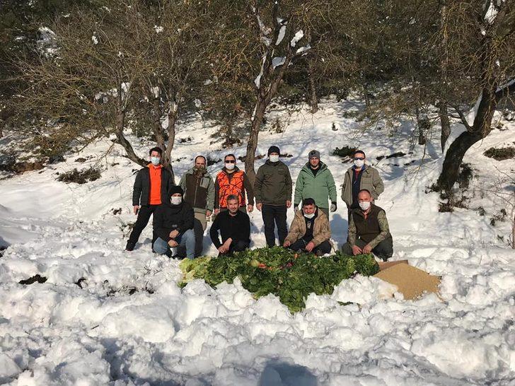 Bolu’da yaban hayvanları için doğaya yem bırakıldı G2