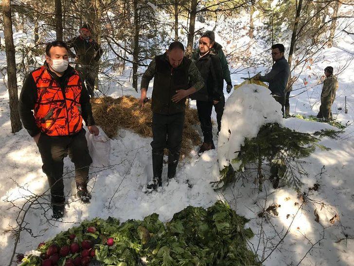 Bolu’da yaban hayvanları için doğaya yem bırakıldı G3