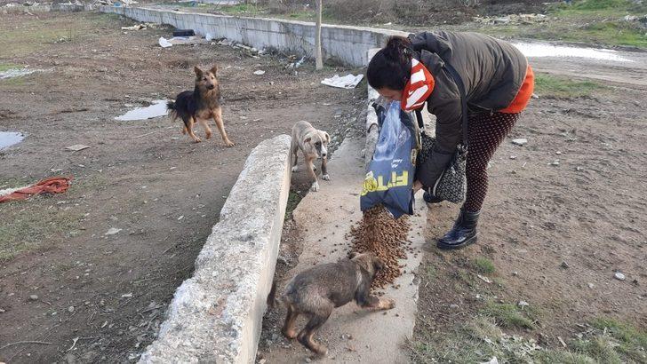 Jandarma aldı, Bipativer Derneği dağıttı G2