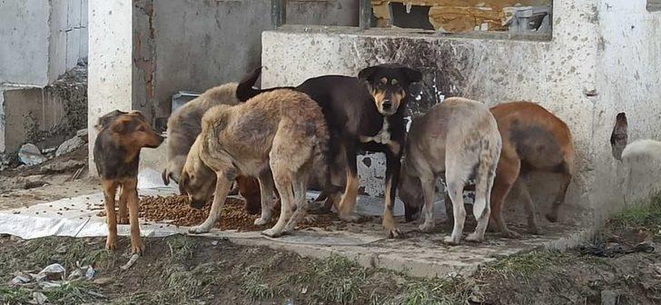 Jandarma aldı, Bipativer Derneği dağıttı G3