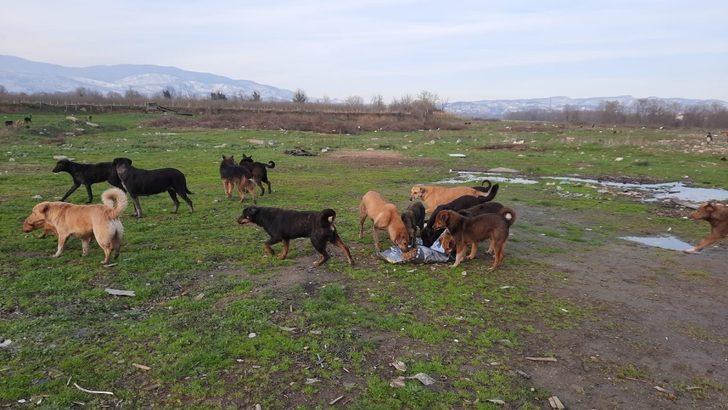 Jandarma aldı, Bipativer Derneği dağıttı G5