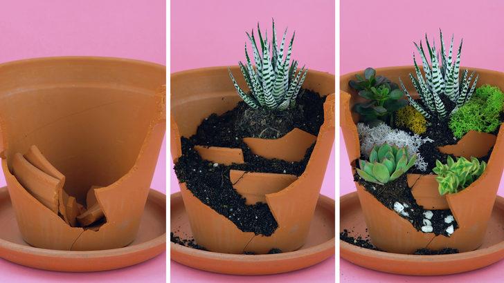 Kırık saksıdan teraryum yaptık!