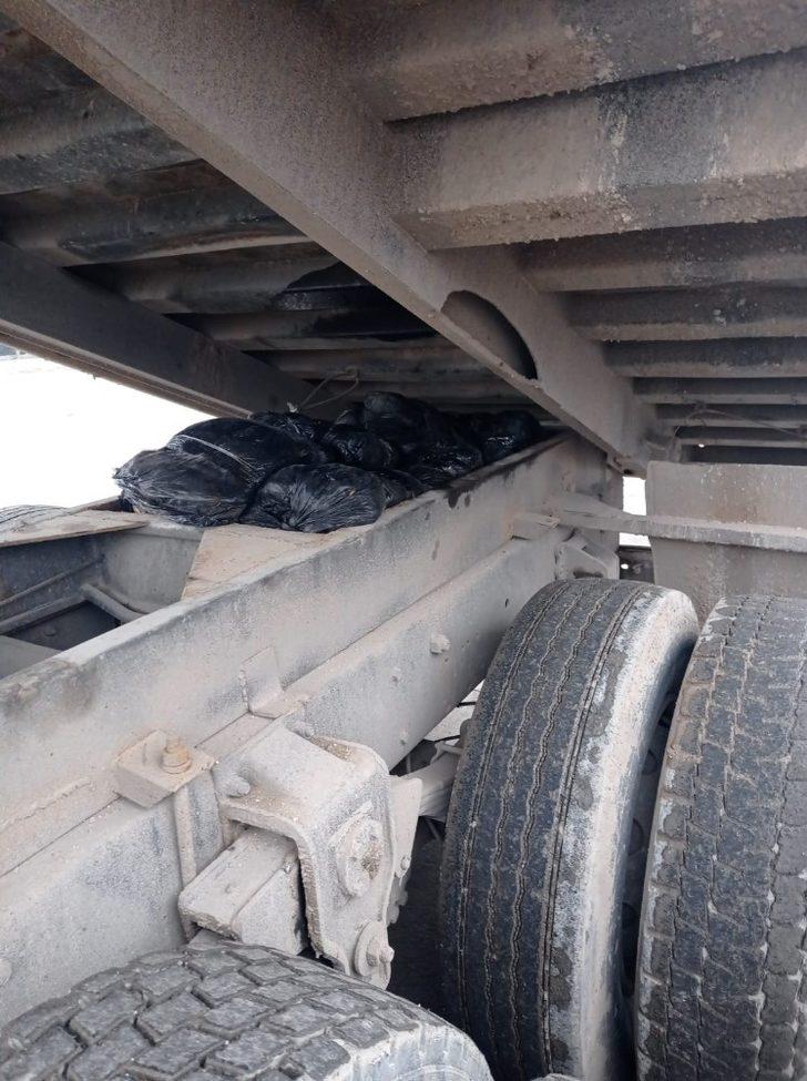 Sınır kapısında güvercin kaçakçılığı G4