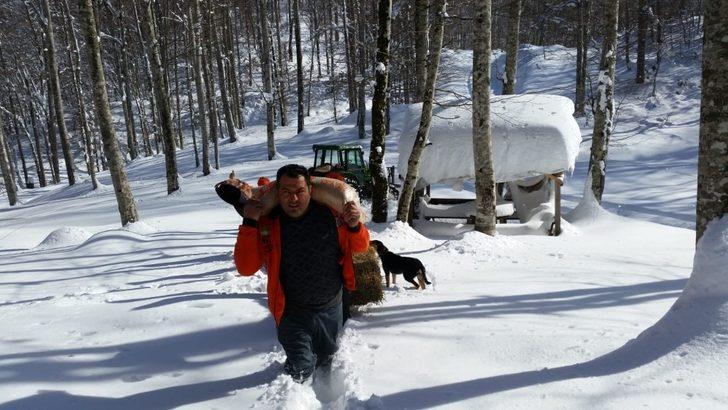 Zonguldak’ta yaban hayvanları için doğaya yem bırakıldı G1