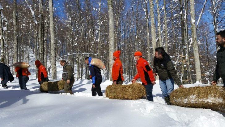 Zonguldak’ta yaban hayvanları için doğaya yem bırakıldı G3