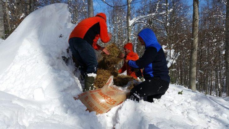 Zonguldak’ta yaban hayvanları için doğaya yem bırakıldı G4