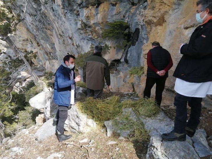 Sokak hayvanları Alanya Belediyesi ile güvende G2