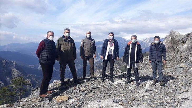 Sokak hayvanları Alanya Belediyesi ile güvende G3