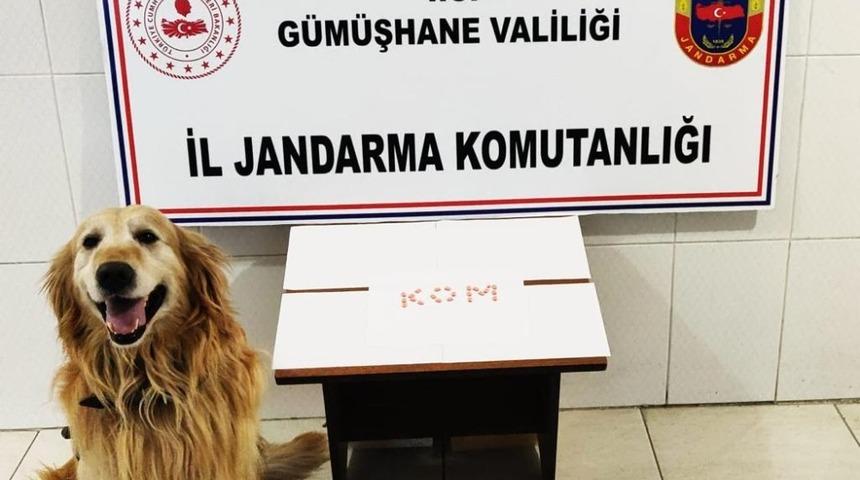 G&uuml;m&uuml;şhane&rsquo;de extacy hap ve t&uuml;t&uuml;n operasyonu