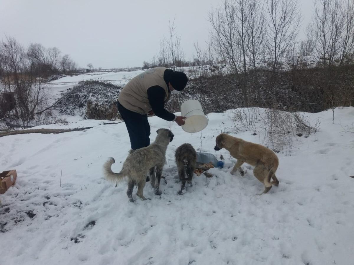 Kısıtlamada a&ccedil; kalan hayvanları elleriyle beslediler