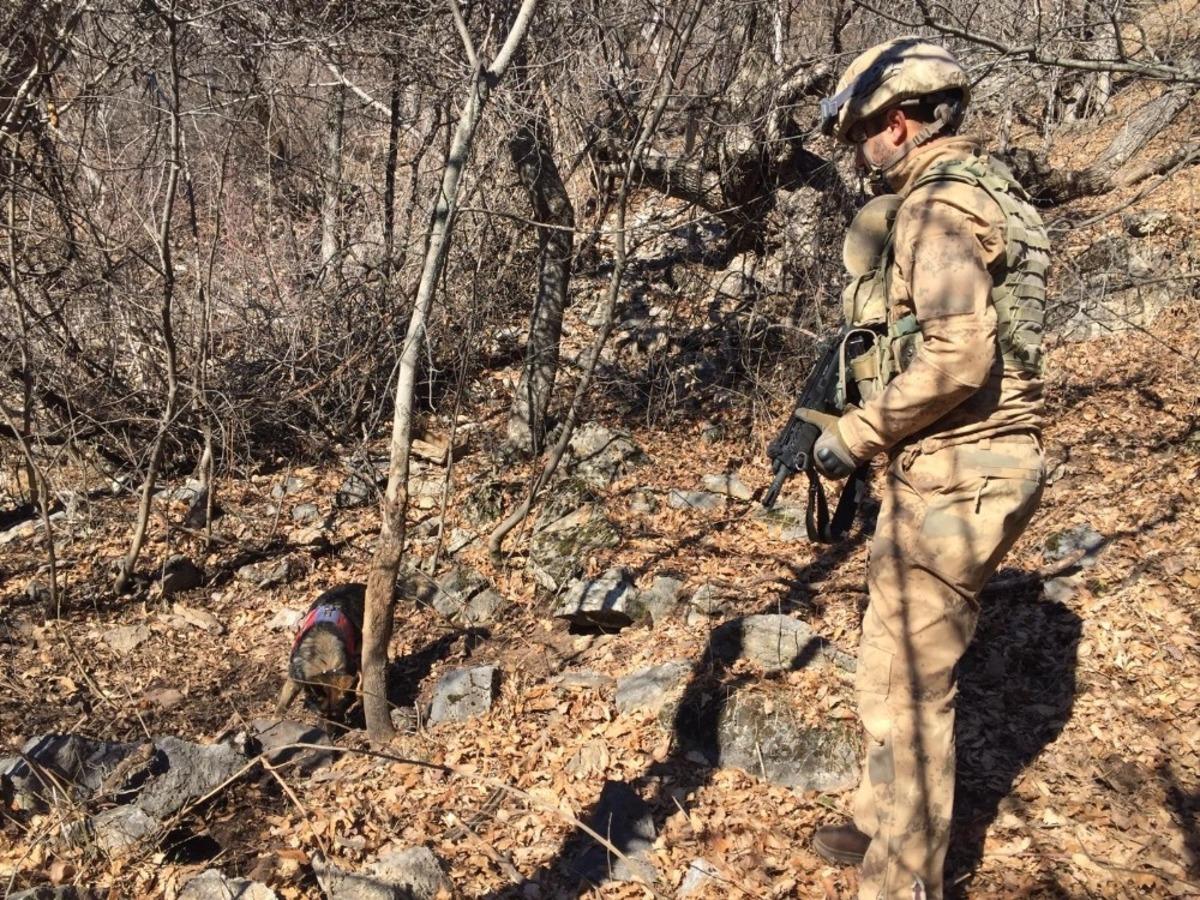 Tunceli&rsquo;de Eren-7 Mercan-Munzur operasyonunda 2 sığınak imha edildi