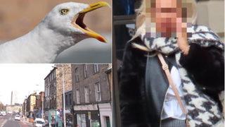 Kavga ettiği kişiyi önce öptü, sonra kopardığı dili martı yedi