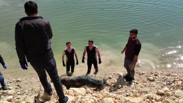 Dicle Nehrinde erkek ceset bulundu