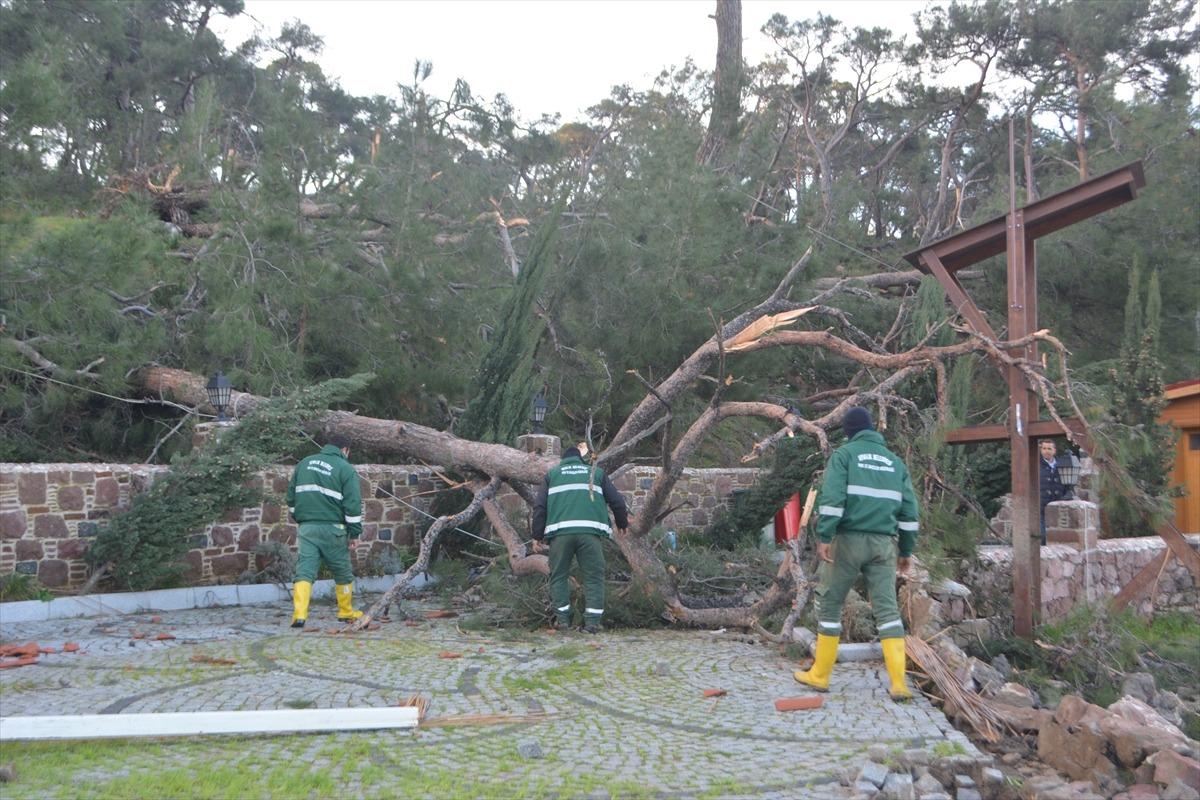 Ayvalık'taki hortum, dolu ve şiddetli yağıştan zarar g&ouml;renler i&ccedil;in 204 bin lira yardım &ouml;deneği tahsis edildi