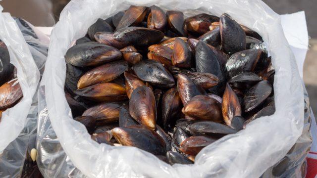 Sokak lezzetinin baş tacı midyenin temizlenme aşamasına dikkat! Canlı olduğunu anlamak için...