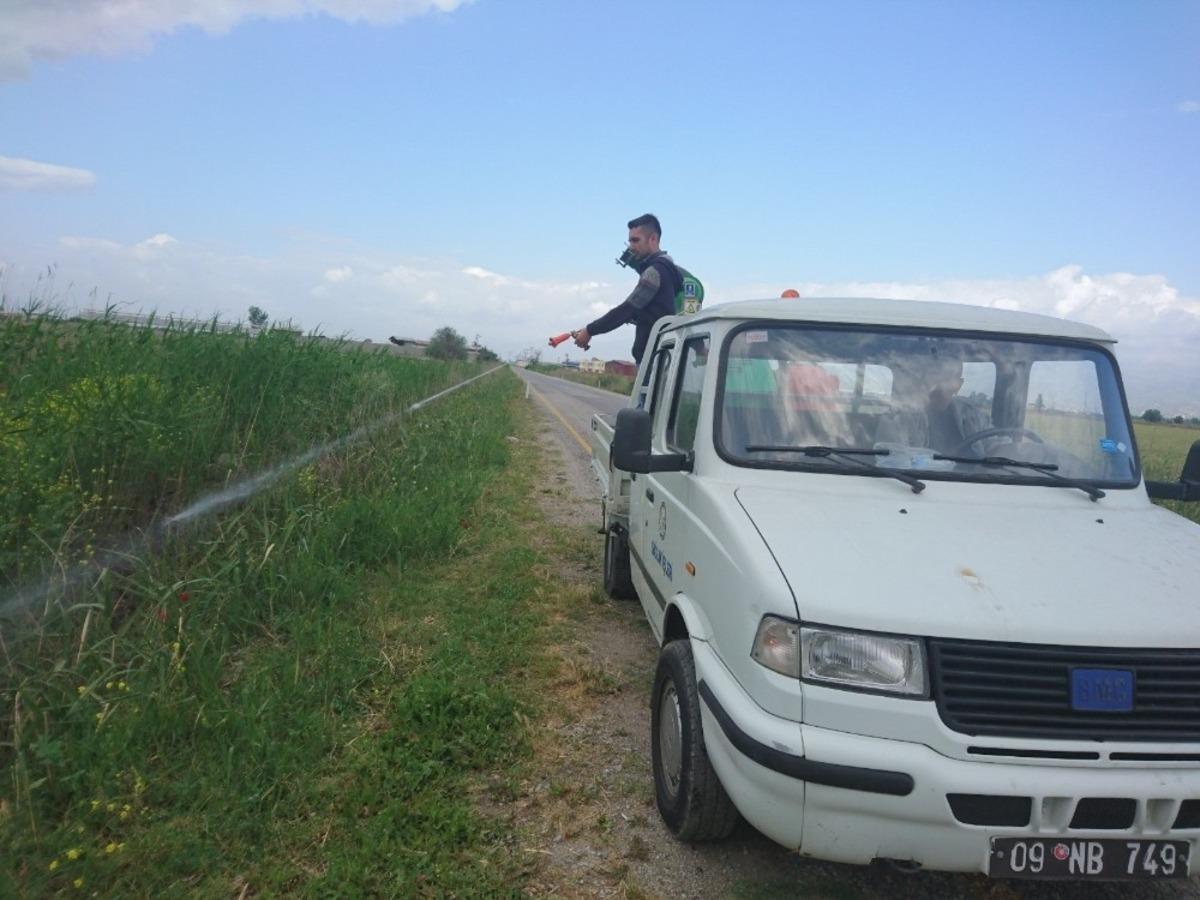 Nazilli&rsquo;de haşereyle m&uuml;cadele başladı