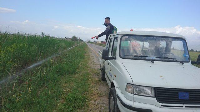Nazilli’de haşereyle mücadele başladı