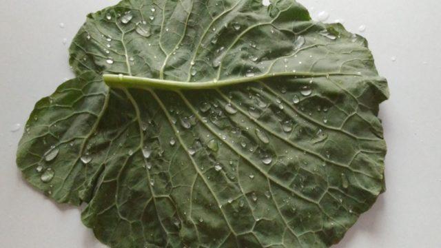 Bildiklerinizi unutun! Gül suyu ve maydanoz göz altı morluklarına, kırışıklığa lahana ve...