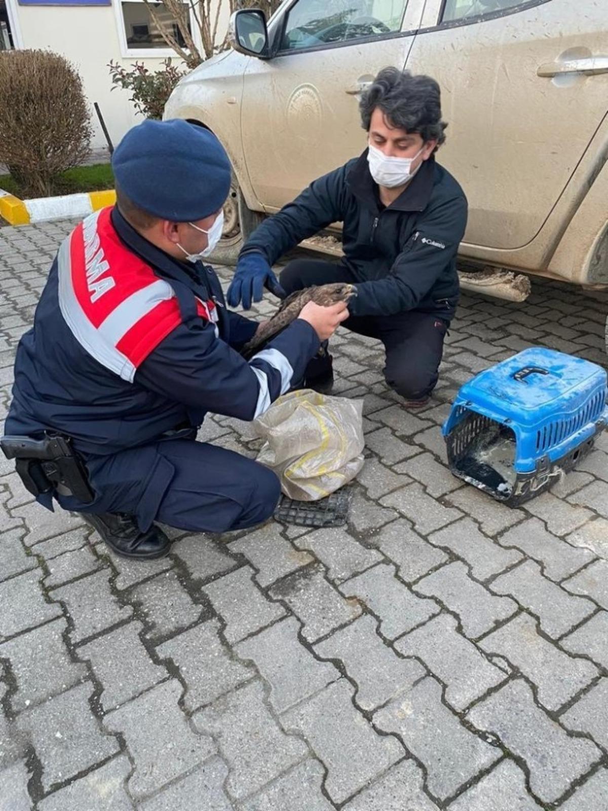 Yaralı Doğan&rsquo;a jandarma şevkati