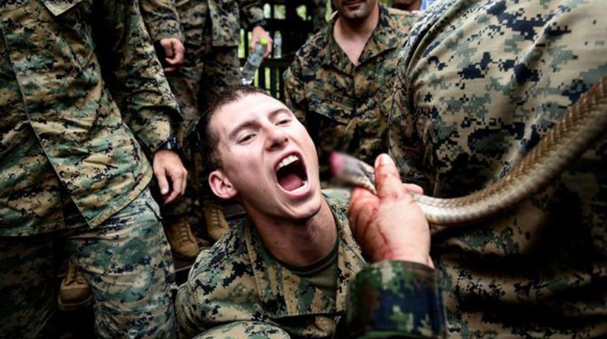 Canlı canlı kertenkele yiyip, yılan kanı içiyorlar!