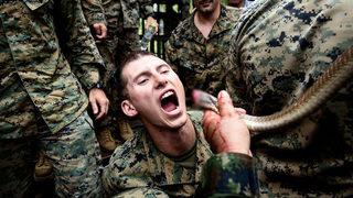 Canlı canlı kertenkele yiyip, yılan kanı içiyorlar!