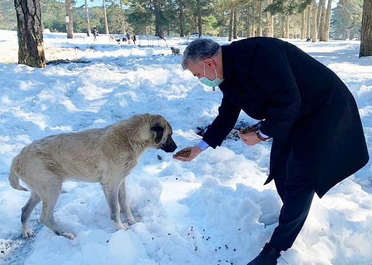 Milletvekili Dr. Mustafa Canbey, Can Dostlar Yaşasın projesine destek olarak, vahşi yaşam alanındaki hayvanları besledi G1