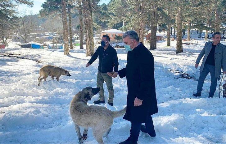 Milletvekili Dr. Mustafa Canbey, Can Dostlar Yaşasın projesine destek olarak, vahşi yaşam alanındaki hayvanları besledi G3