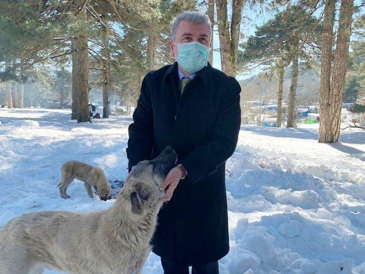 Milletvekili Dr. Mustafa Canbey, Can Dostlar Yaşasın projesine destek olarak, vahşi yaşam alanındaki hayvanları besledi G4