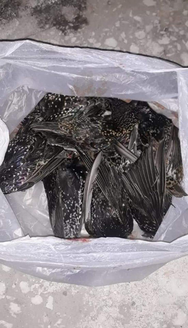 Yasadışı avlanan 17 kişi hakkında işlem yapıldı G5