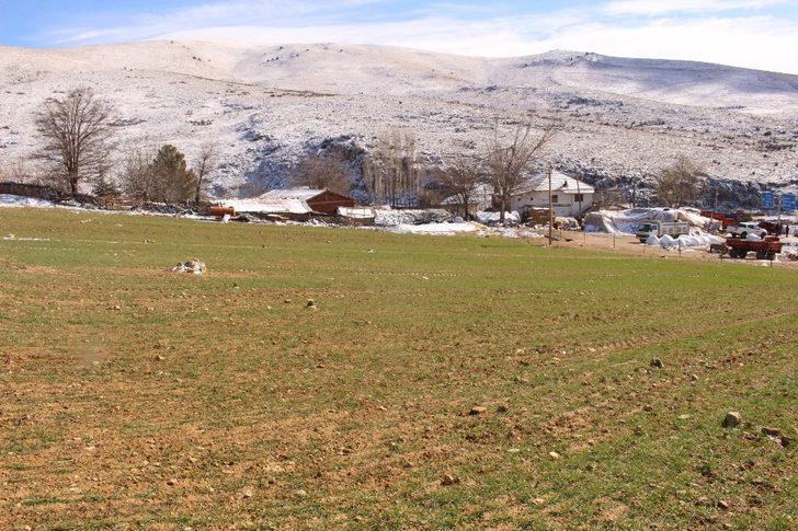 Büyükşehirin Elmalı ve Korkuteli’deki ata tohumları çimlendi G5