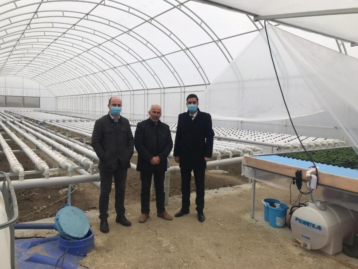 Sungurlu&rsquo;da kurduğu 500 metrekare serada topraksız marul yetiştiriyor