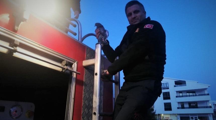 Çatıda sıkışan güvercin itfaiye ekipleri tarafından kurtarıldı
