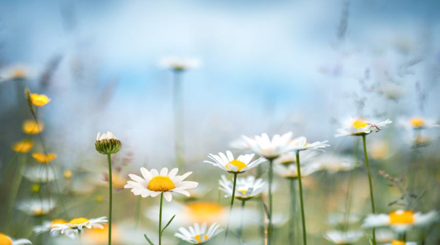 Cemre düşme tarihleri 2021: 2. cemre düştü mü, ne zaman düşer? Cemre havaya, suya ve toprağa ne zaman düşer?