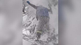 Elektrik tellerinin üzerine düşen dalları kesmek isterken böyle yere düştü