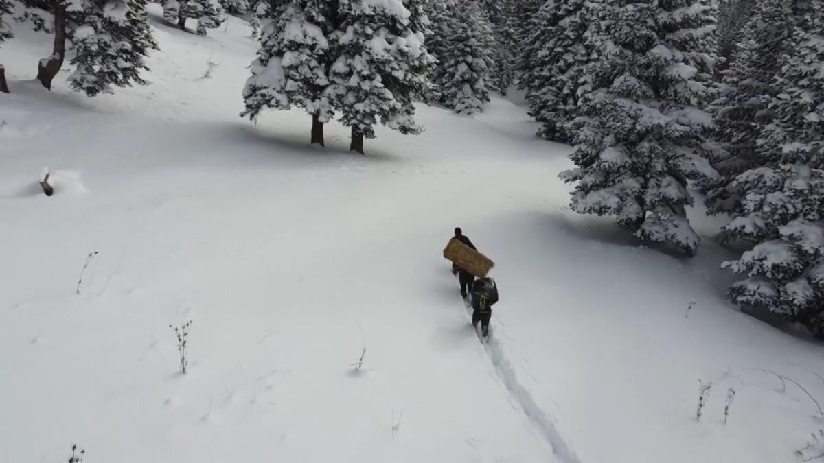Zorlu kış şartlarında yaban hayatı unutulmadı