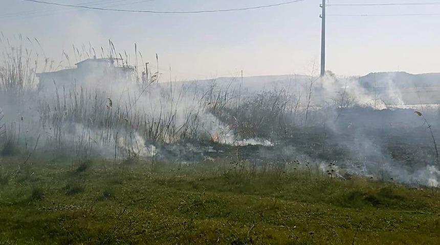 Yangın G&ouml;me&ccedil; sahilini duman altında bıraktı