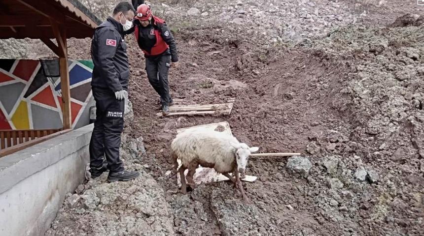 Edremit&rsquo;te itfaiyenin kuzu kurtarma operasyonu