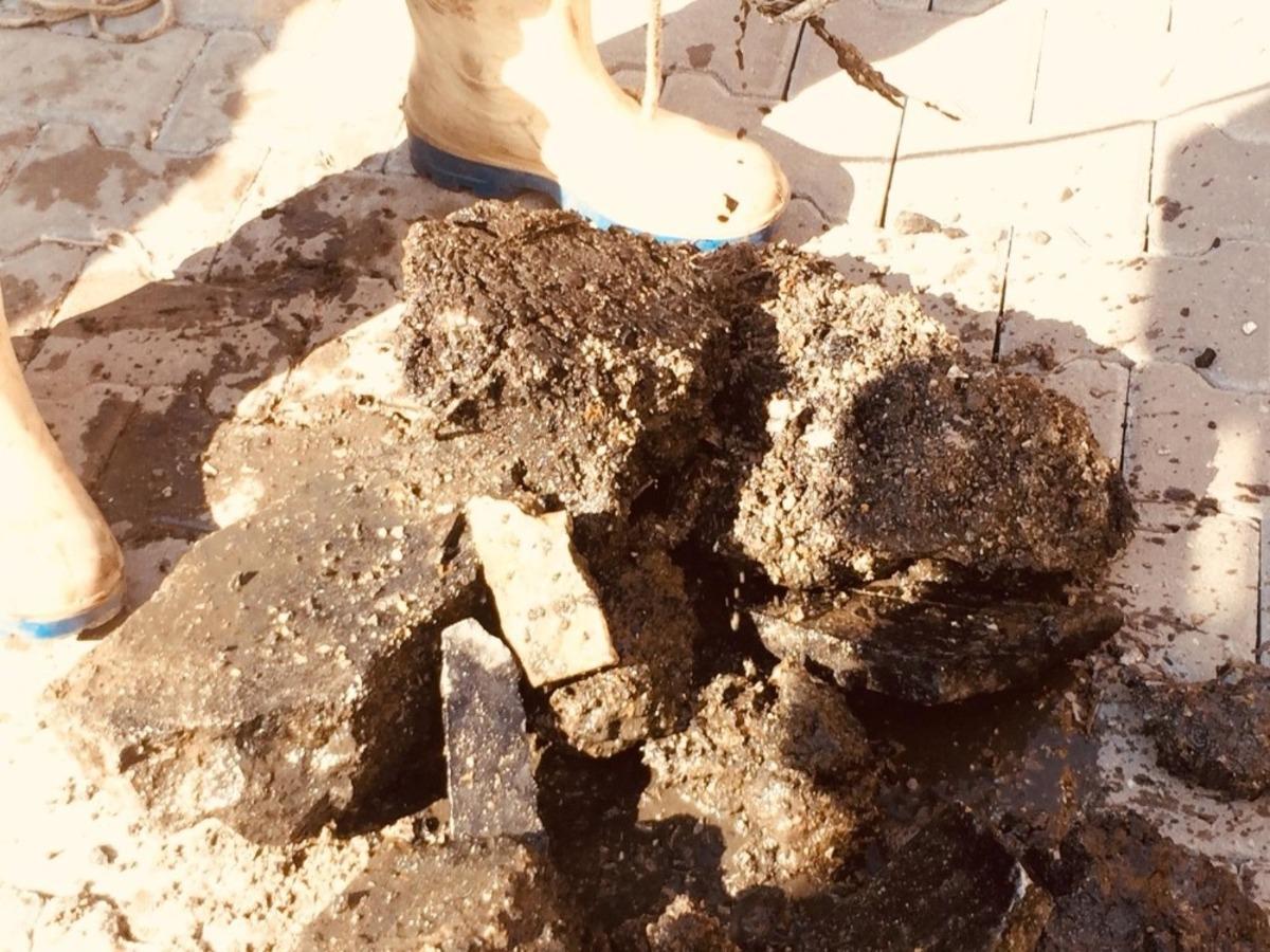 Kanalizasyondan &ccedil;ıkanlar şaşırttı