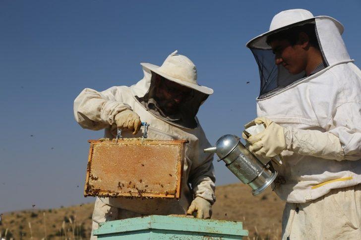 Arıcılar Birliği Başkanı Canbay, “Arıcılığın resmi meslek statüsü kazanması tüm üreticileri sevindirdi” G3