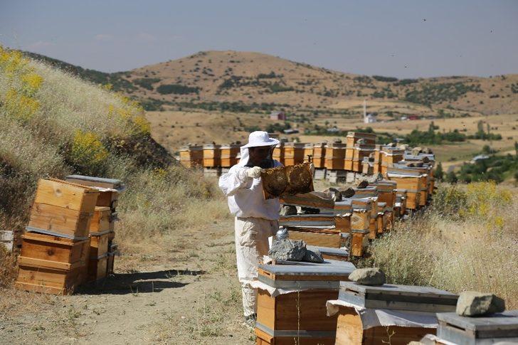 Arıcılar Birliği Başkanı Canbay, “Arıcılığın resmi meslek statüsü kazanması tüm üreticileri sevindirdi” G4