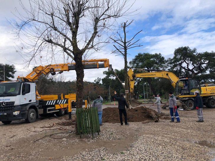 Kemer Belediyesinden yeşil alan çalışması G2