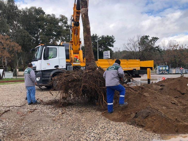 Kemer Belediyesinden yeşil alan çalışması G3